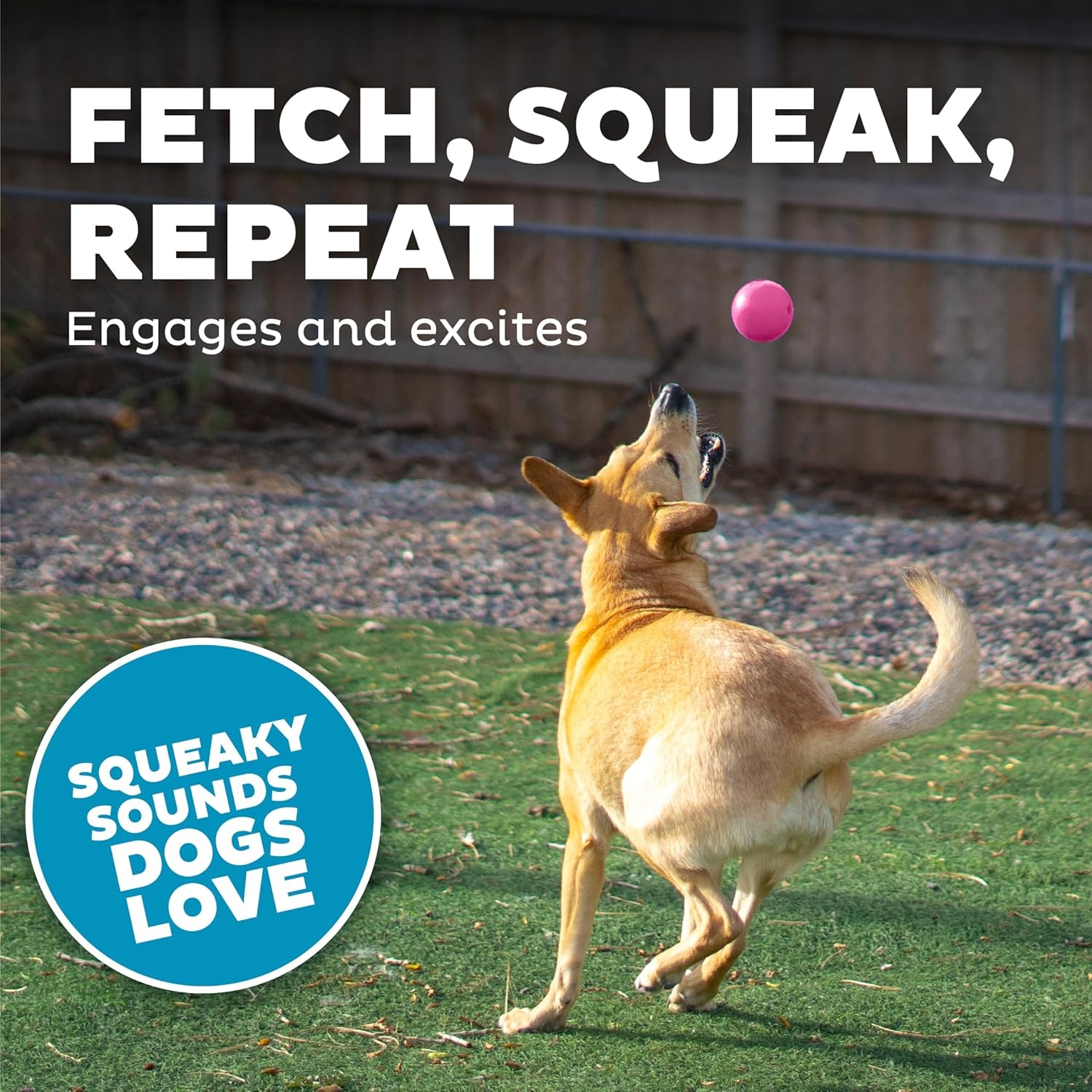 image:imageOutward Hound by Planet Dog Squeak Ball Bouncy Fetch Dog Toy OrangePink Squeak Toy