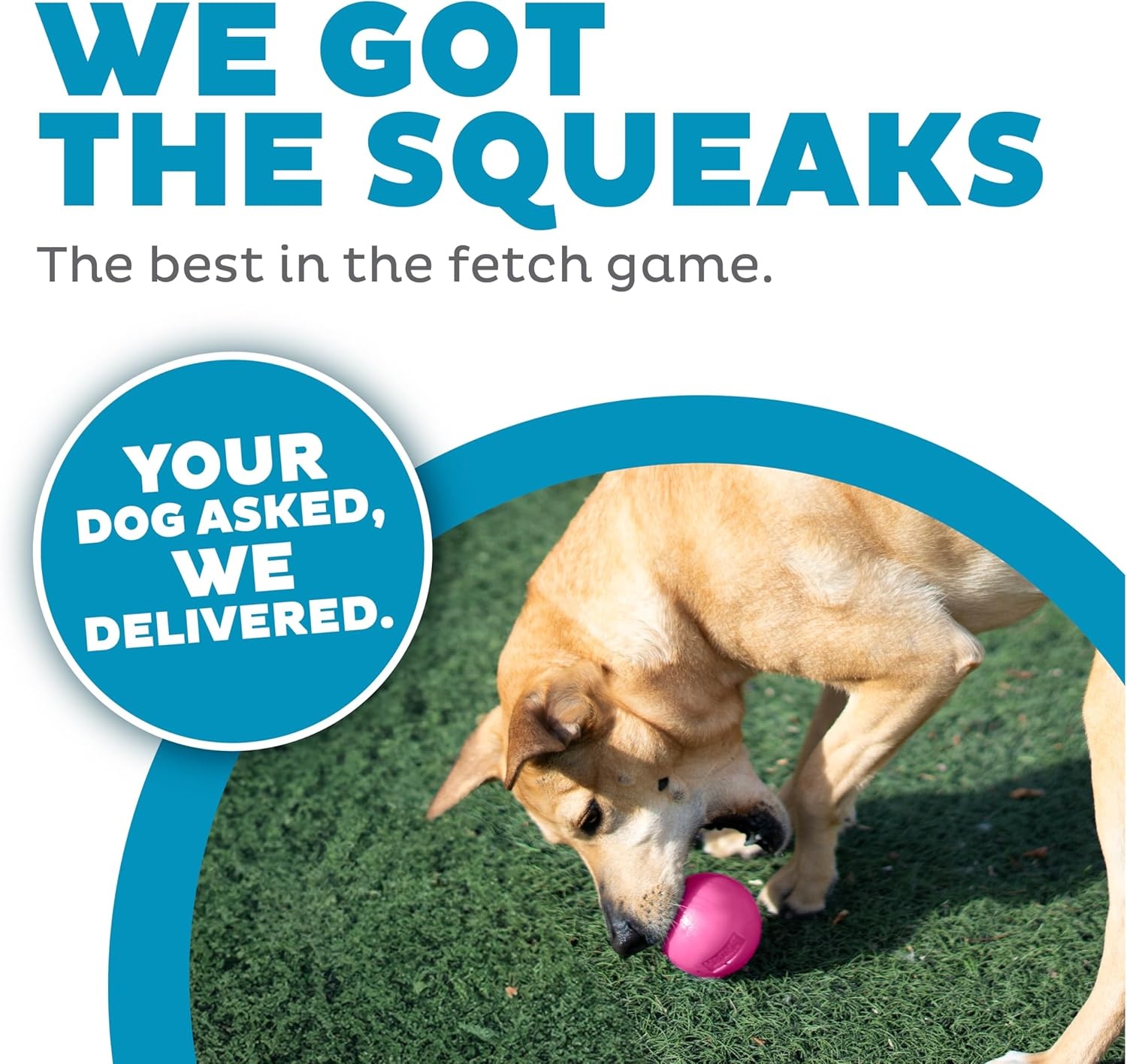 image:imageOutward Hound by Planet Dog Squeak Ball Bouncy Fetch Dog Toy OrangePink Squeak Toy