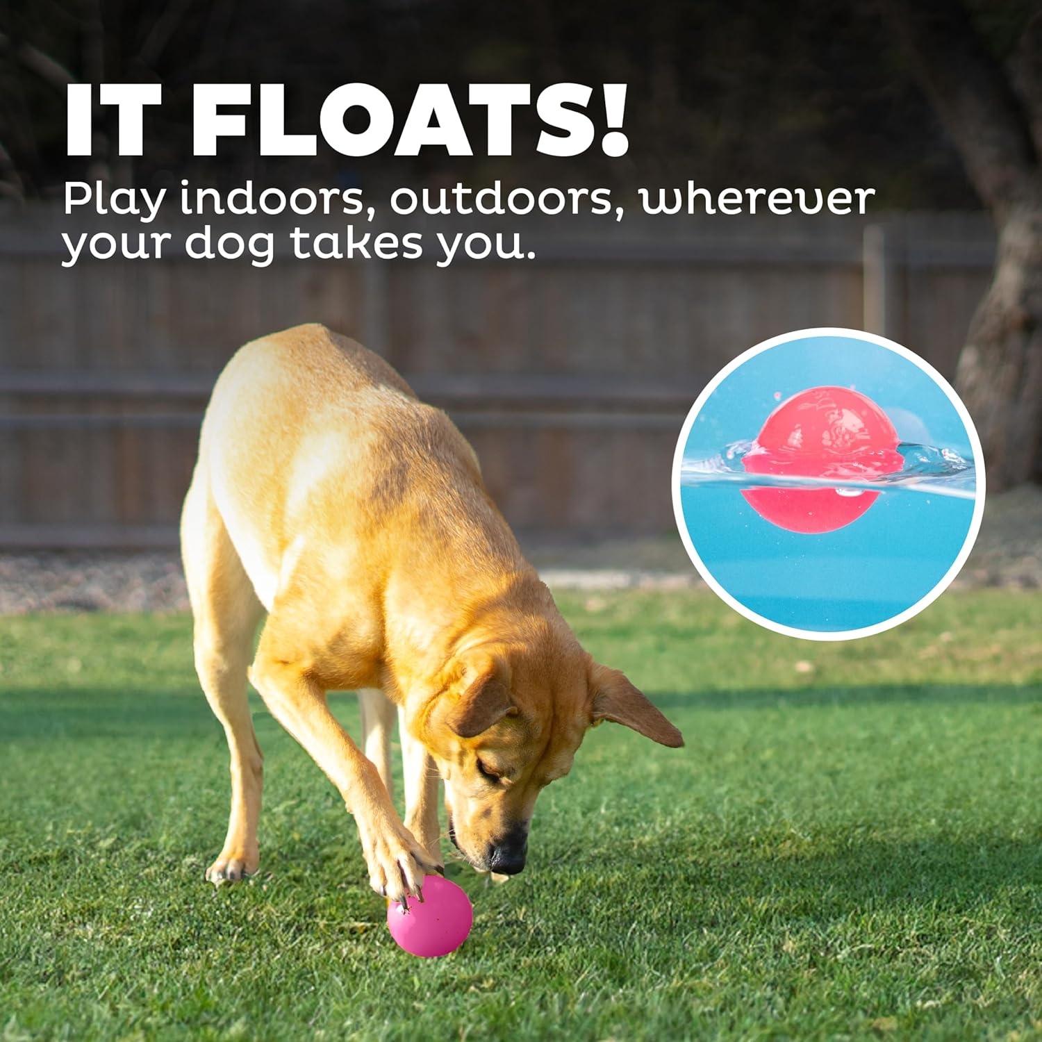 image:imageOutward Hound by Planet Dog Squeak Ball Bouncy Fetch Dog Toy OrangePink Squeak Toy