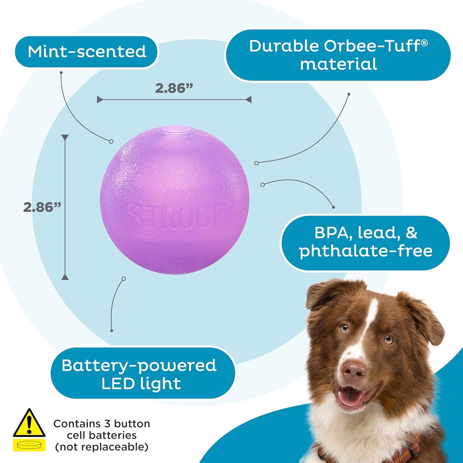 image:imageOutward Hound by Planet Dog Squeak Ball Bouncy Fetch Dog Toy OrangePurple Strobe Toy