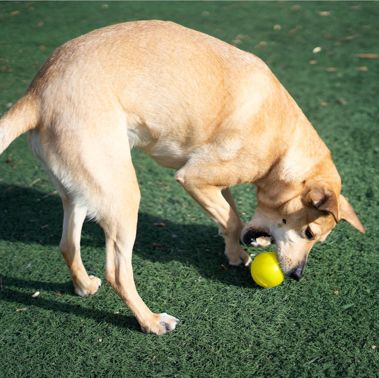 image:imageOutward Hound by Planet Dog Squeak Ball Bouncy Fetch Dog Toy OrangeYellow Squeak Toy