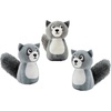 Raccoon