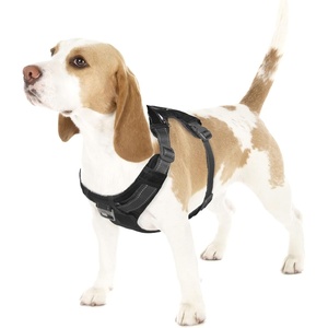 image:imageOutward Hound Boulder Grip Reflective Dog Leash Black 5 ftBlack