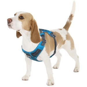 image:imageOutward Hound Boulder Grip Reflective Dog Leash Black 5 ftTurquoise