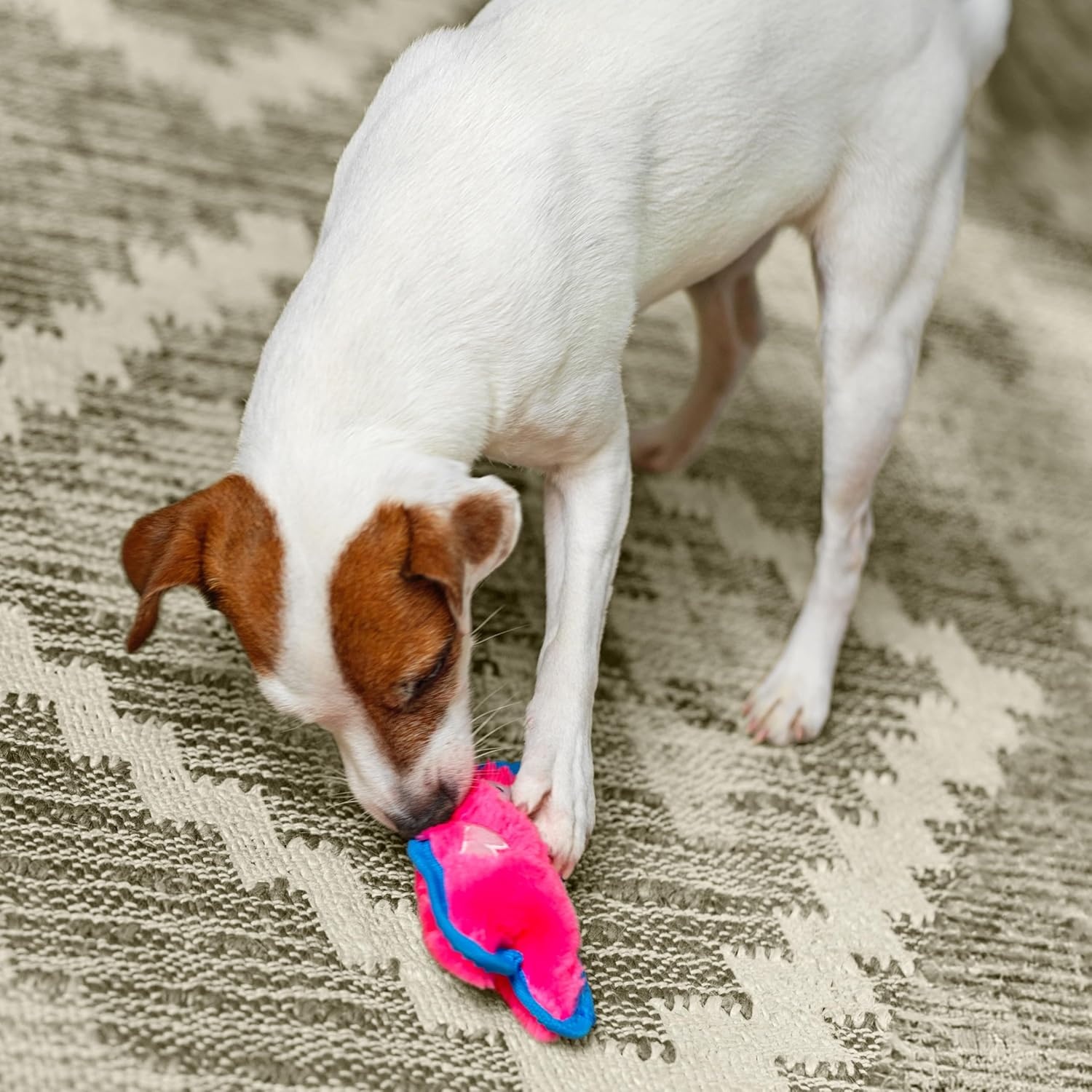 image:imageOutward Hound Durablez Minis Squeaky Plush Dog Toy No Stuffing for Less Mess Interactive amp Tough Jumbo Squeaker Puppies amp Small Dogs Fox 63Pig