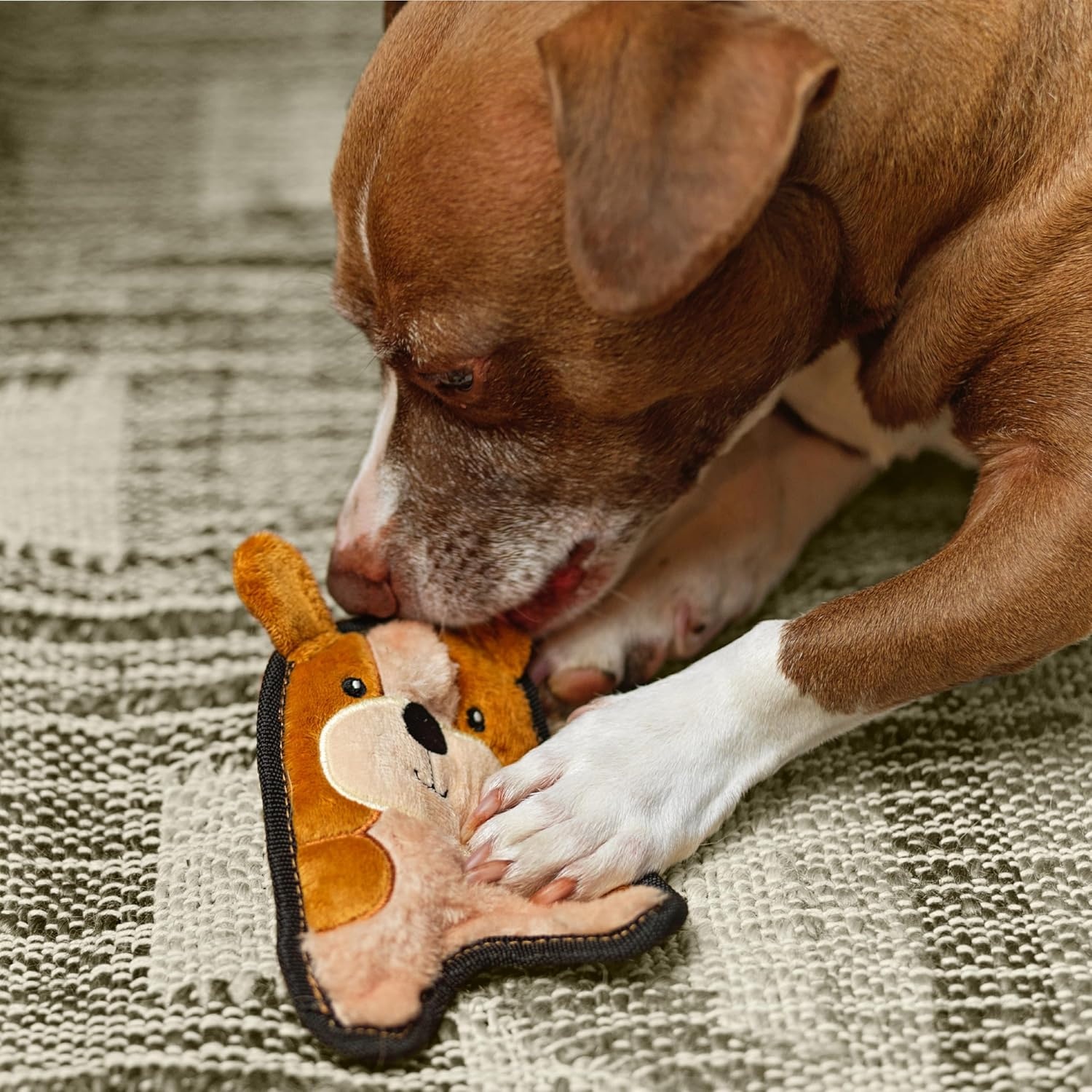 image:imageOutward Hound Durablez Minis Squeaky Plush Dog Toy No Stuffing for Less Mess Interactive amp Tough Jumbo Squeaker Puppies amp Small Dogs Fox 63Puppy