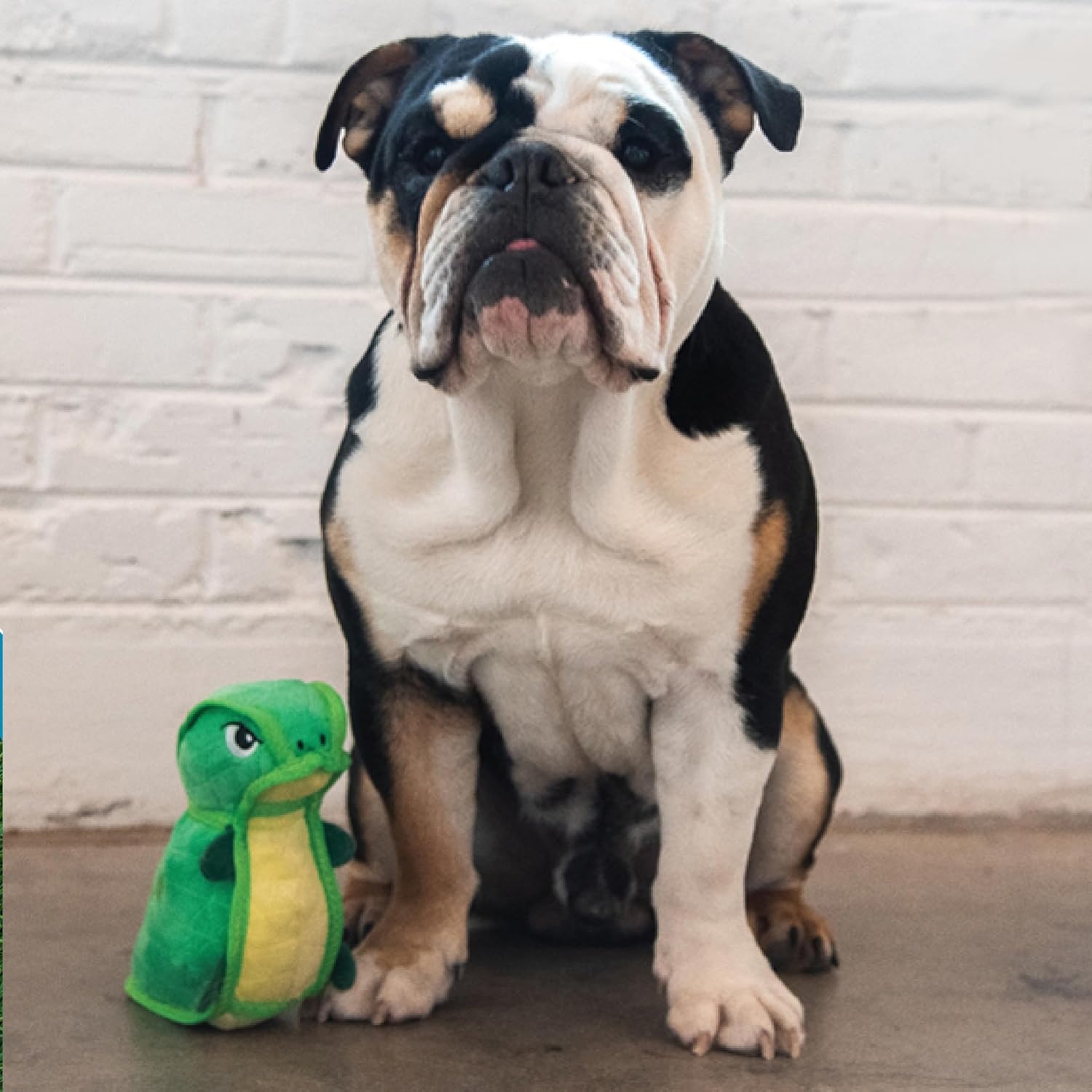 image:imageOutward Hound Xtreme Seamz Alligator Squeaky Dog Toy Reinforced Dense Stuffing Plush ToyDino