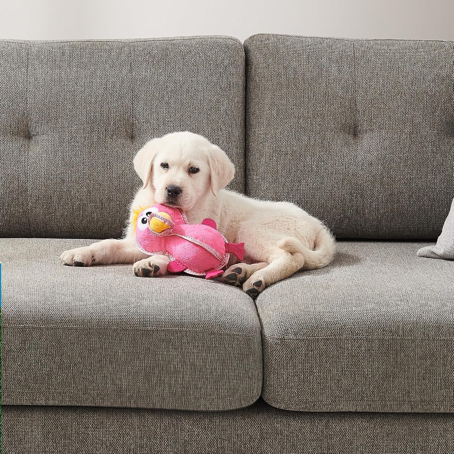 image:imageOutward Hound Xtreme Seamz Alligator Squeaky Dog Toy Reinforced Dense Stuffing Plush ToyFlamingo