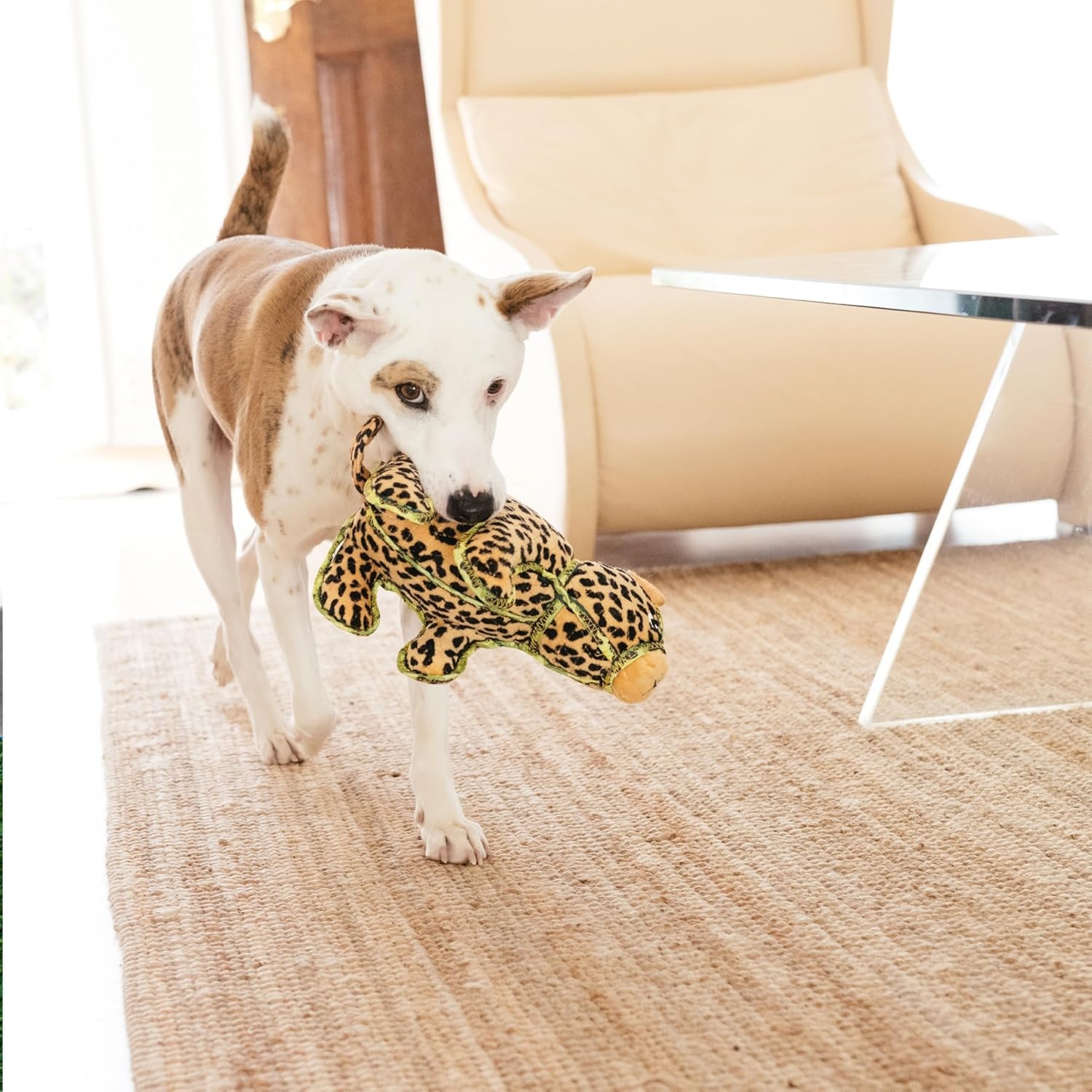 image:imageOutward Hound Xtreme Seamz Alligator Squeaky Dog Toy Reinforced Dense Stuffing Plush ToyLemur