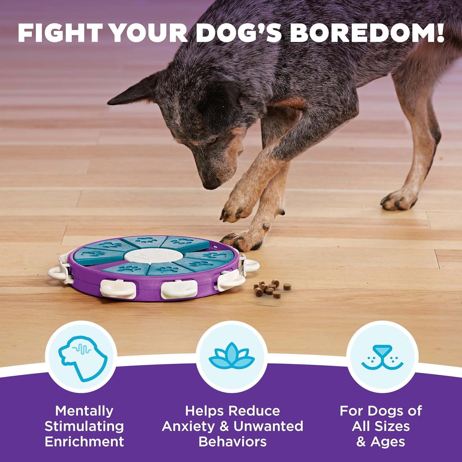 image:imageOutward Hound by Nina Ottosson Dog Hide N Slide Treat Puzzle Enrichment Toy Level 2 Intermediate Tan CompositeDog Twister Purple Blue