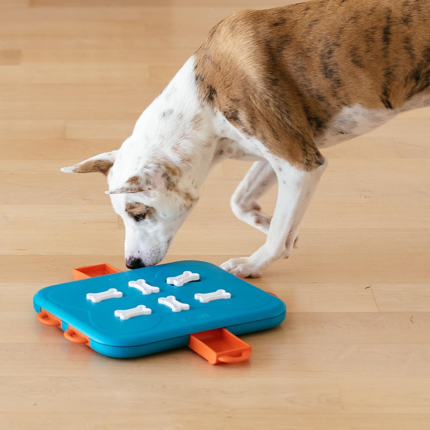 image:imageOutward Hound by Nina Ottosson Dog Tornado Interactive Treat Puzzle Enrichment Toy 3 Spinning Layers Level 2 IntermediateDog Casino Blue Orange