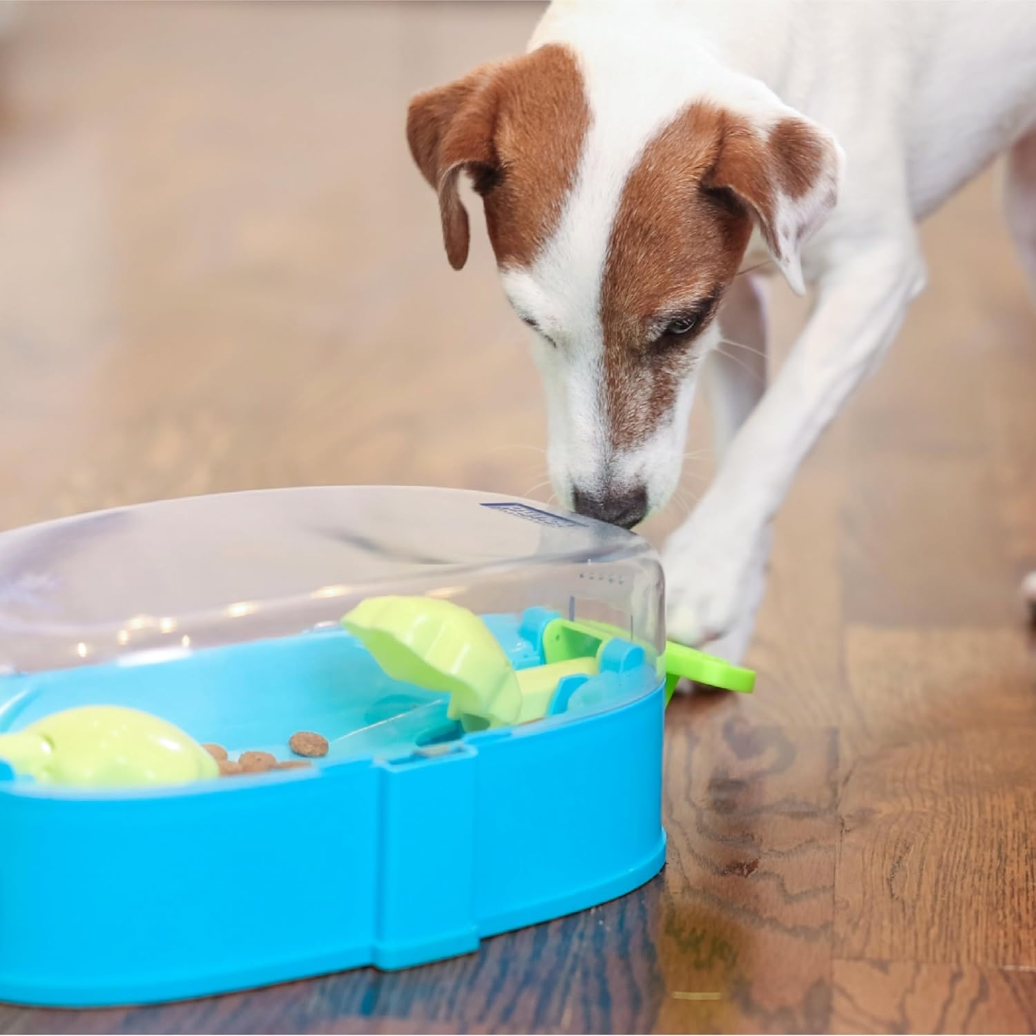 image:imageOutward Hound by Nina Ottosson Dog Tornado Interactive Treat Puzzle Enrichment Toy 3 Spinning Layers Level 2 IntermediatePaw N Play Blue