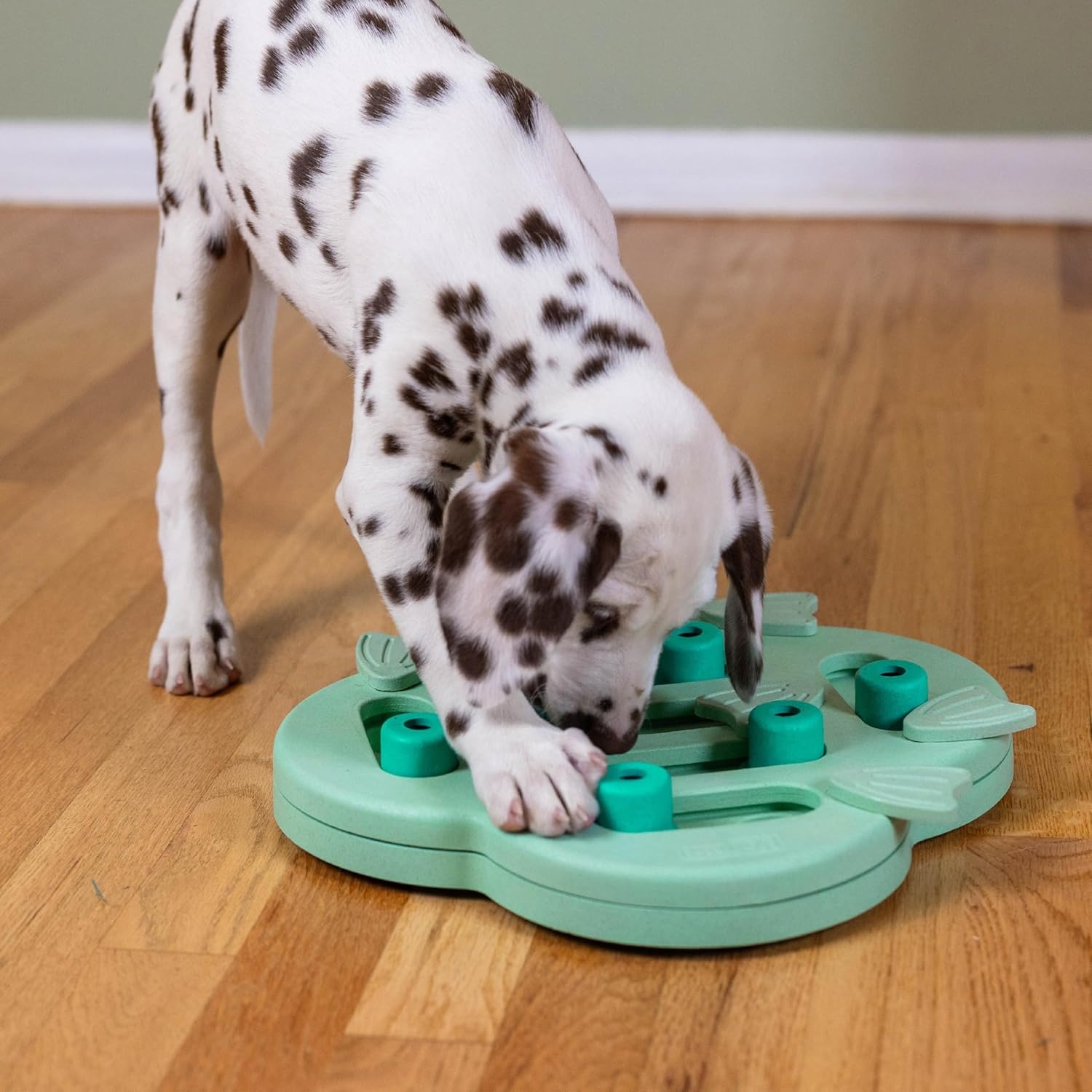 image:imageOutward Hound by Nina Ottosson Puppy Treat Puzzle Enrichment Dog ToyPuppy HideNSlide Green