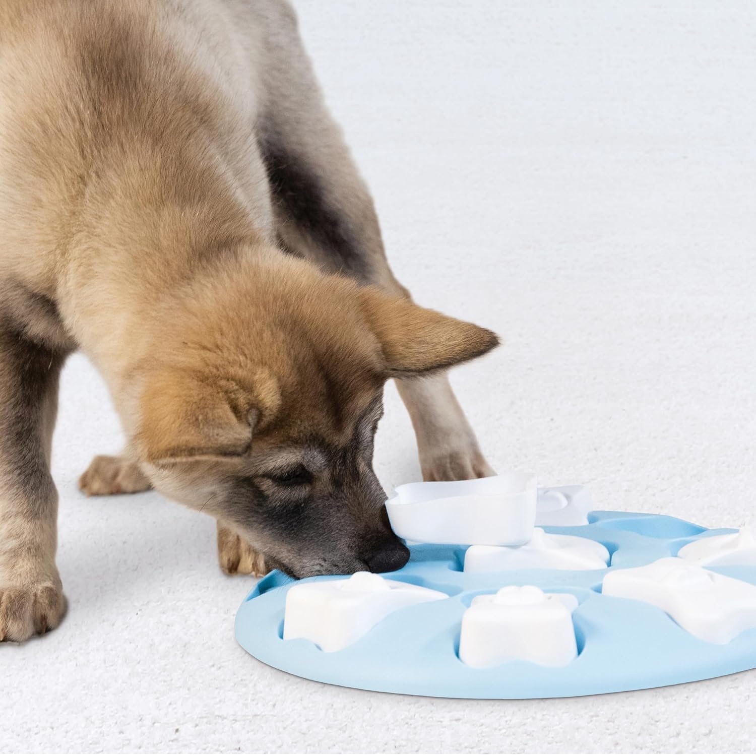 image:imageOutward Hound by Nina Ottosson Puppy Treat Puzzle Enrichment Dog ToyPuppy Smart Light Blue