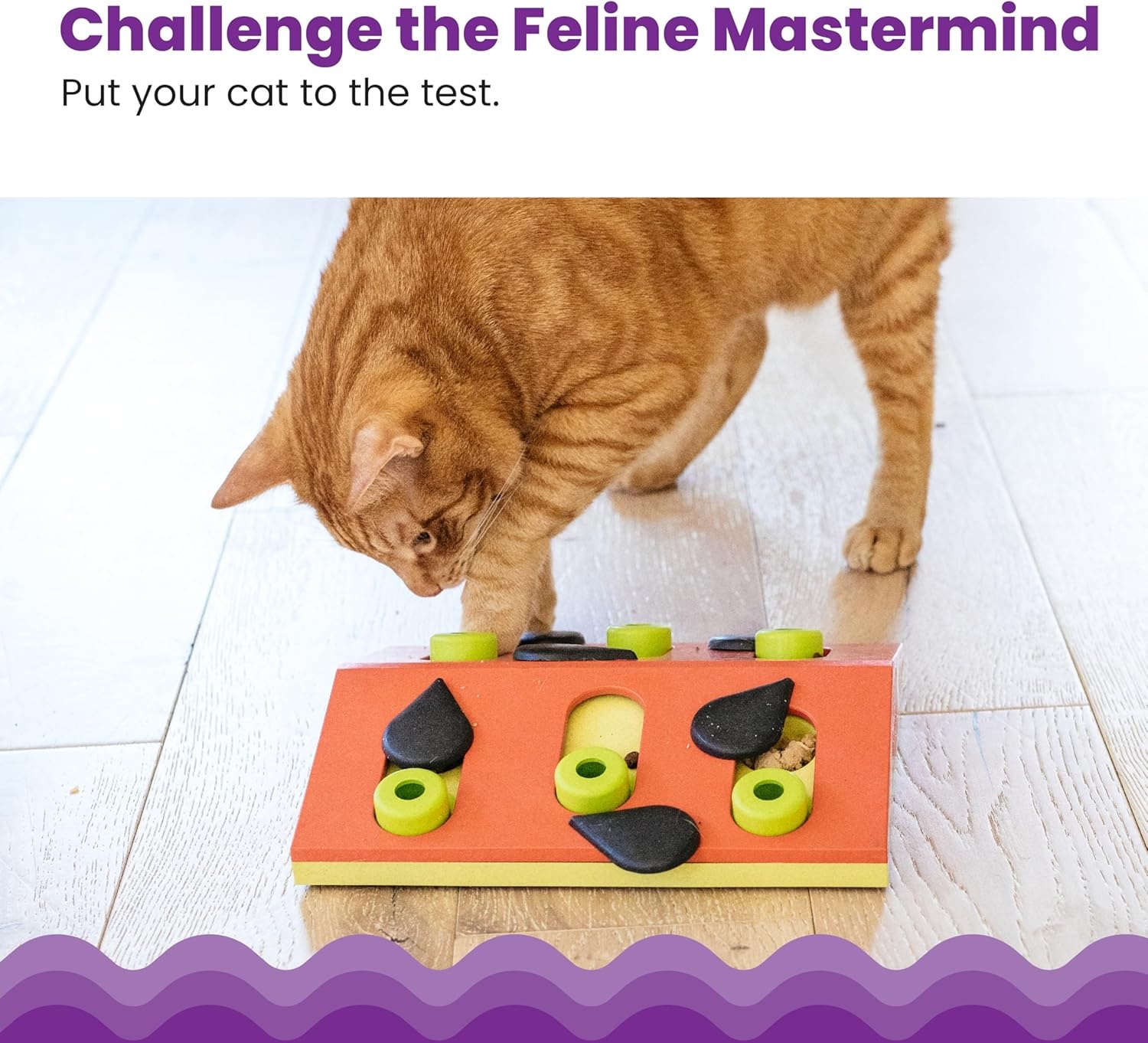 image:imageCatstages Nina Ottosson Buggin Out Puzzle amp Play Cat Puzzle Feeder Interactive Treat Game for Indoor Cats Level 2 Slow Feeder Enrichment Toy 139 x 115Melon Madness