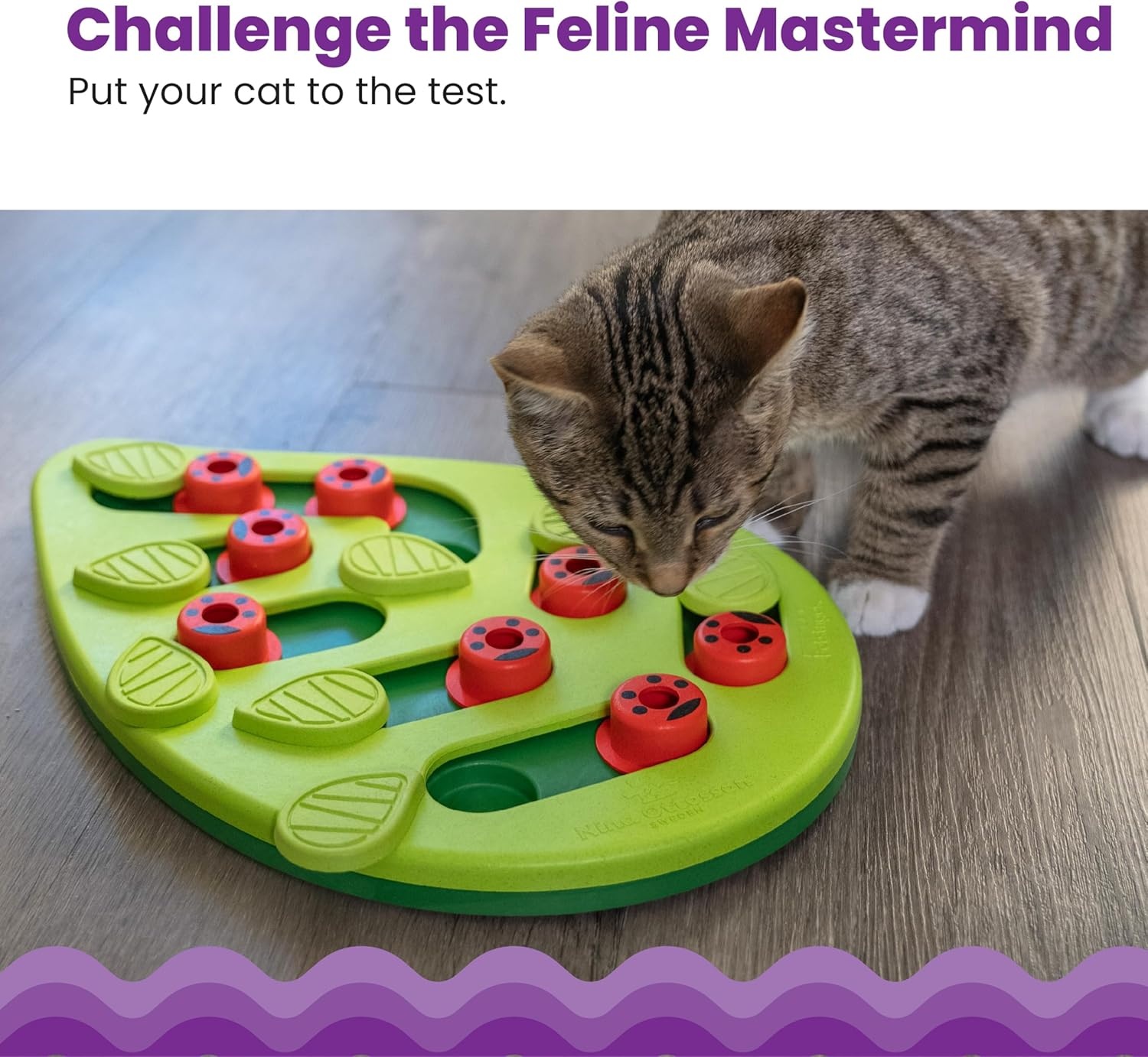 image:imageCatstages Nina Ottosson Buggin Out Puzzle amp Play Cat Puzzle Feeder Interactive Treat Game for Indoor Cats Level 2 Slow Feeder Enrichment Toy 139 x 115Buggin Out