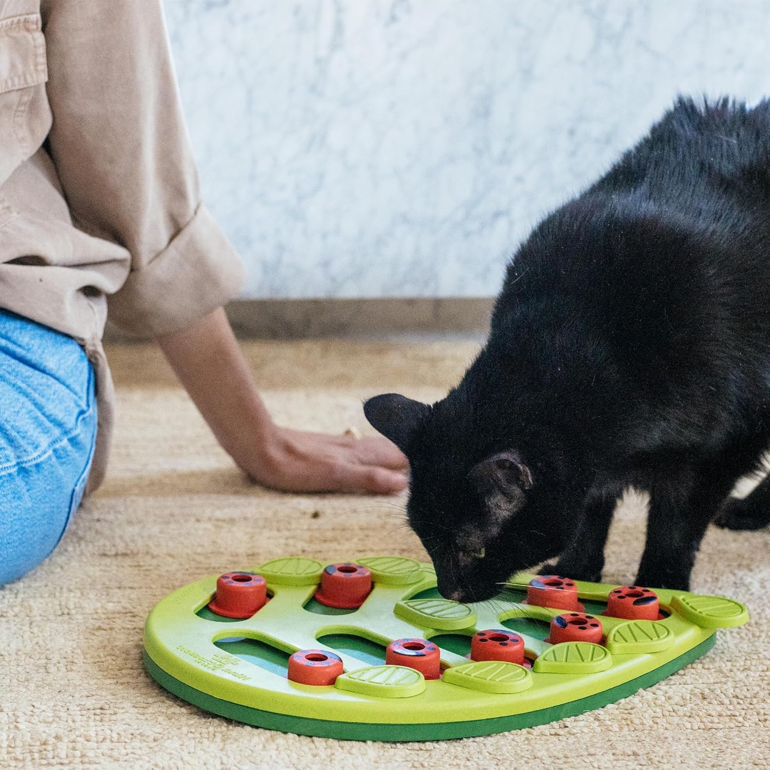 image:imageCatstages Nina Ottosson Buggin Out Puzzle amp Play Cat Puzzle Feeder Interactive Treat Game for Indoor Cats Level 2 Slow Feeder Enrichment Toy 139 x 115Buggin Out