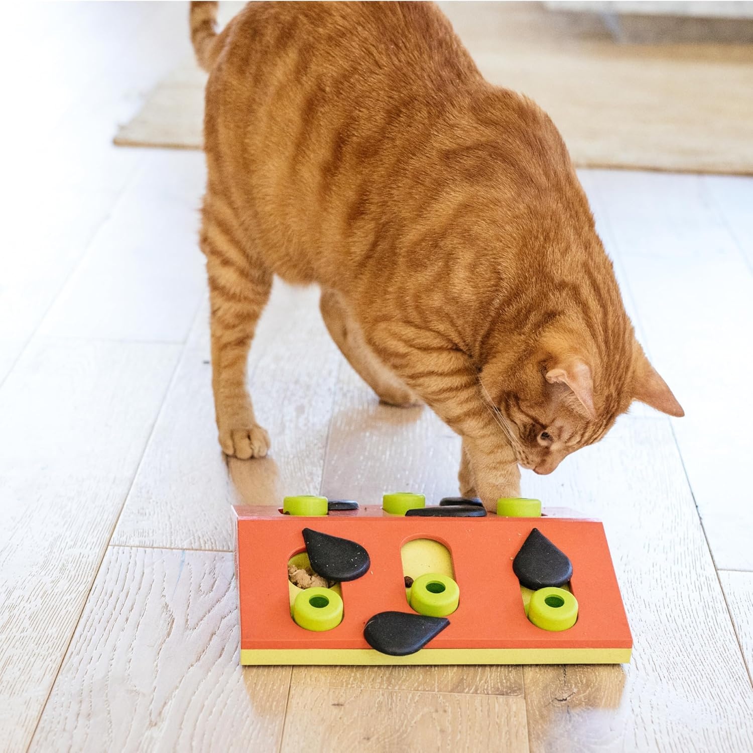 image:imageCatstages Nina Ottosson Buggin Out Puzzle amp Play Cat Puzzle Feeder Interactive Treat Game for Indoor Cats Level 2 Slow Feeder Enrichment Toy 139 x 115Melon Madness
