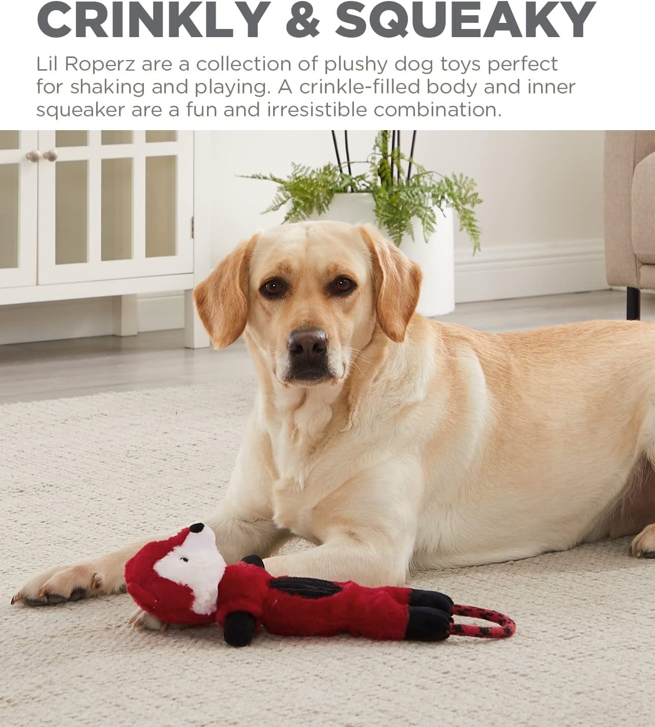 image:imageCharming Pet Lil Roperz Fox Durable Plush and Rope Tug Dog ToyOneSize