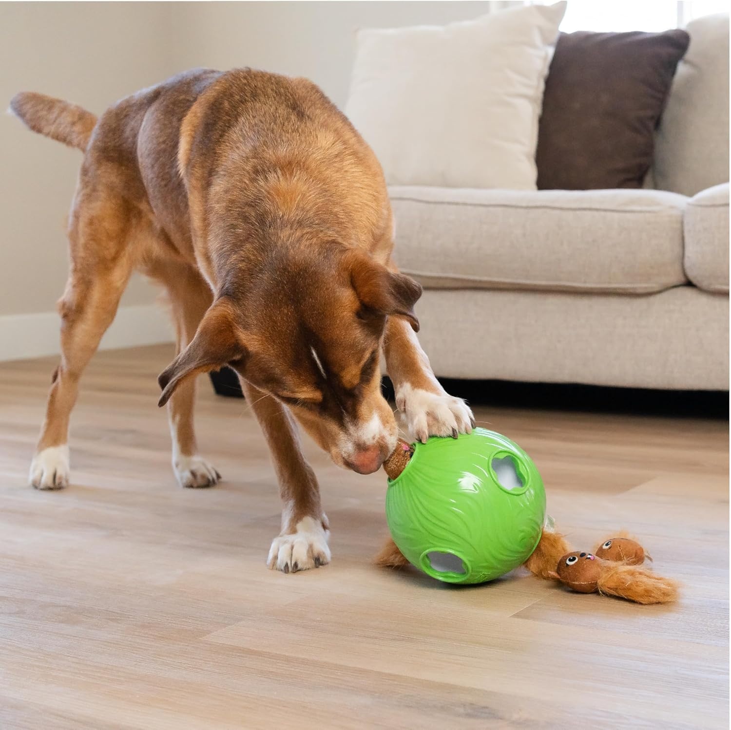 image:imageOutward Hound Nina Ottosson Plush Replacement Chipmunk Toys for Snuffle N Treat Dog Ball Puzzle 3 PackSnuffle N Treat Green