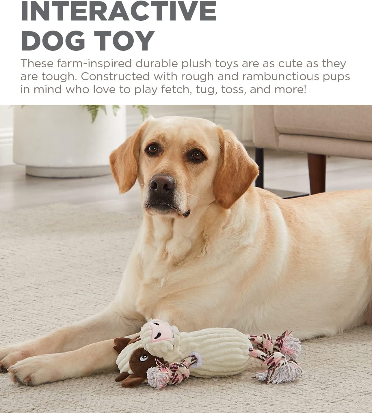 image:imageOutward Hound Ranch Roperz Pig Plush Squeaky Dog ToyRanch Roperz Cow