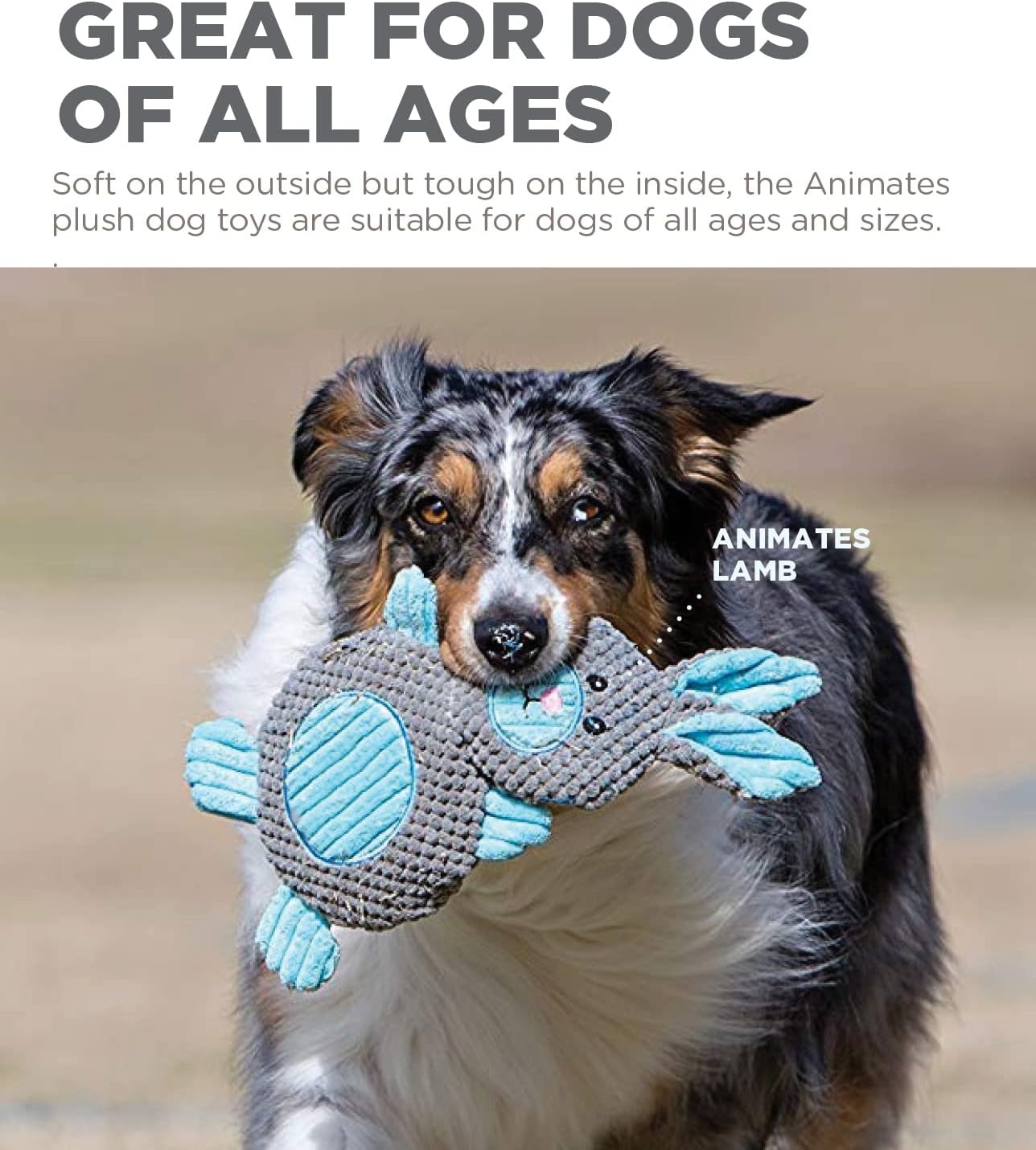 image:imageOutward Hound by Charming Pet Animates Lamb Plush Squeaky Dog ToyAnimates Lamb