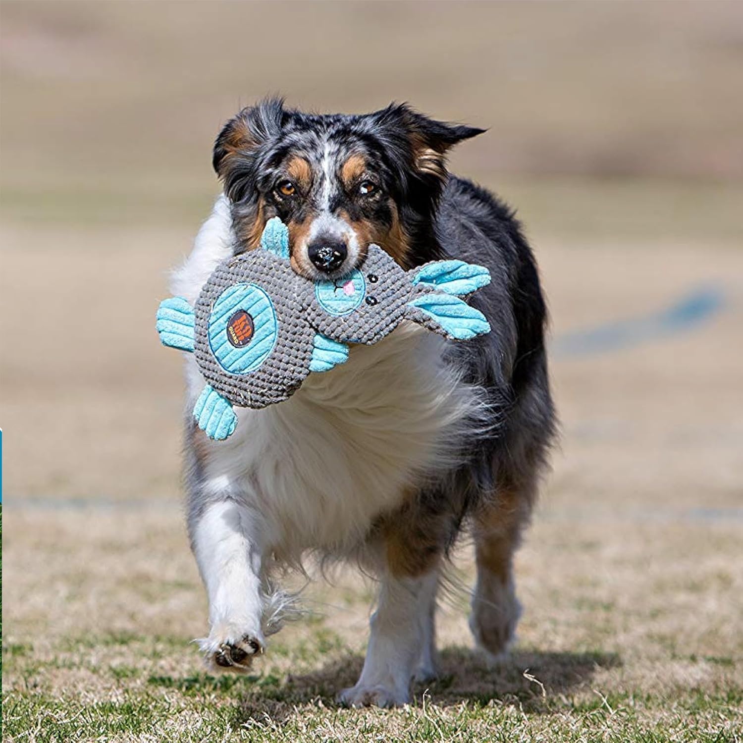image:imageOutward Hound by Charming Pet Animates Lamb Plush Squeaky Dog ToyAnimates Lamb