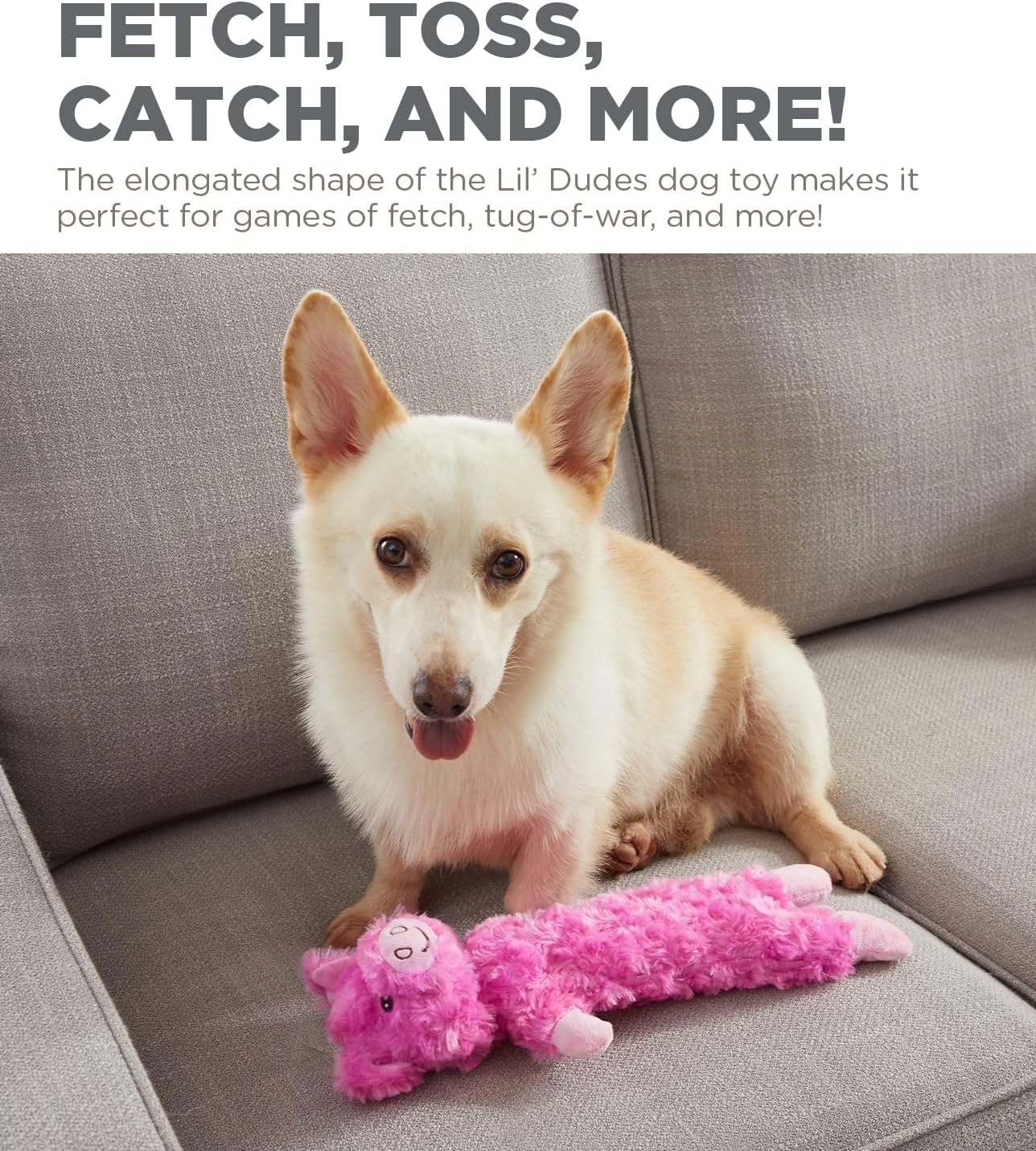 image:imageOutward Hound by Charming Pet Animates Lamb Plush Squeaky Dog ToyLil Dudes Pig