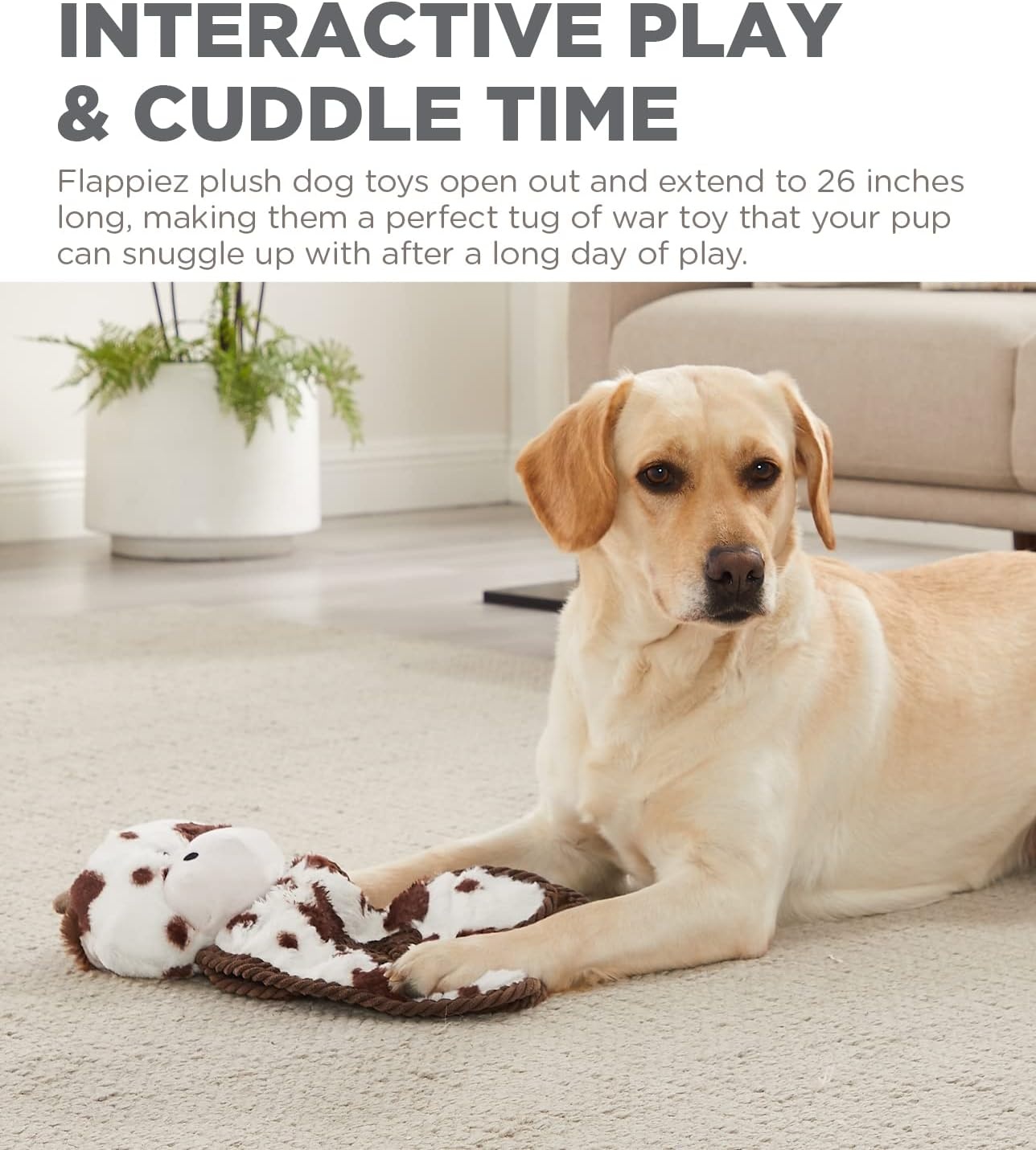 image:imageOutward Hound by Charming Pet Animates Lamb Plush Squeaky Dog ToyTugs Cow