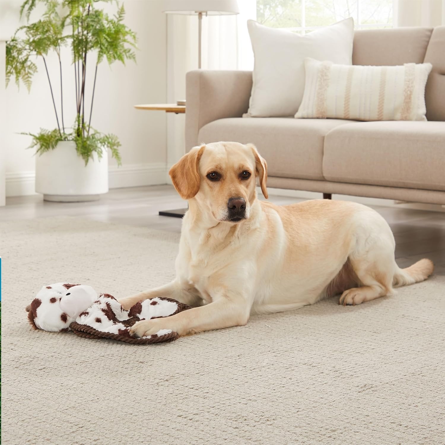 image:imageOutward Hound by Charming Pet Animates Lamb Plush Squeaky Dog ToyTugs Cow